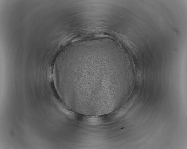 X0000112760383200909031552