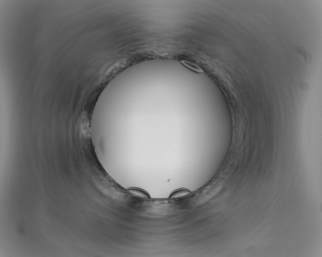 X0000112760384200909031552