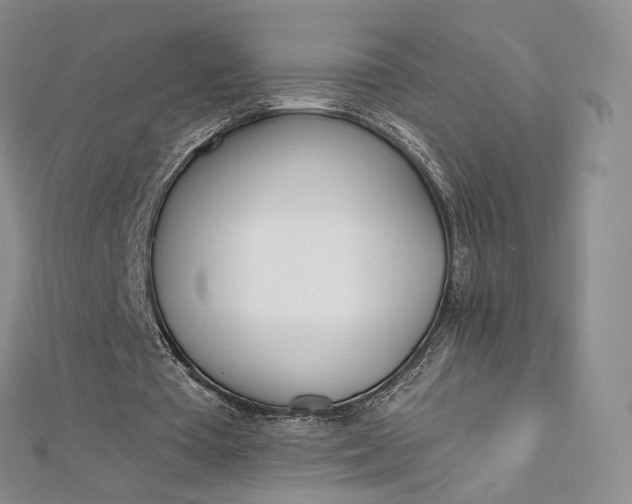 X0000112760385200909031552