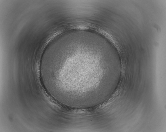 X0000112760386200909031552