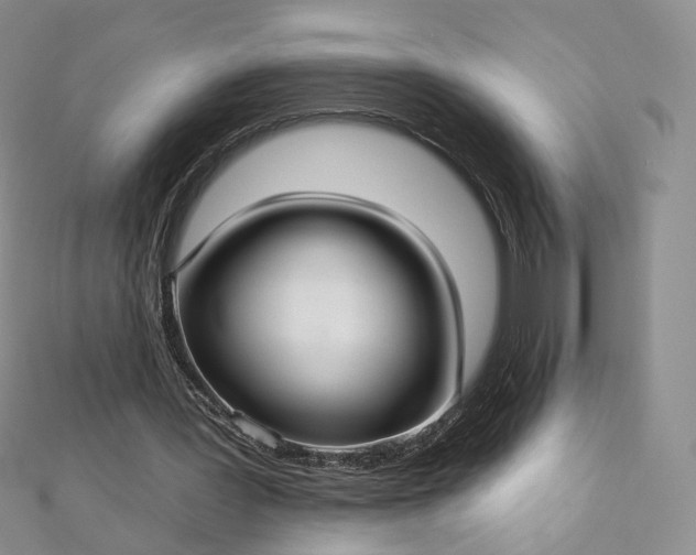X0000112760387200909031552