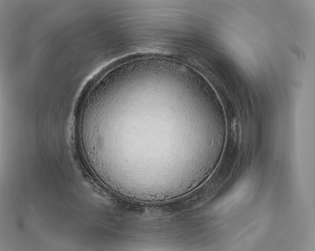 X0000112760388200909031552