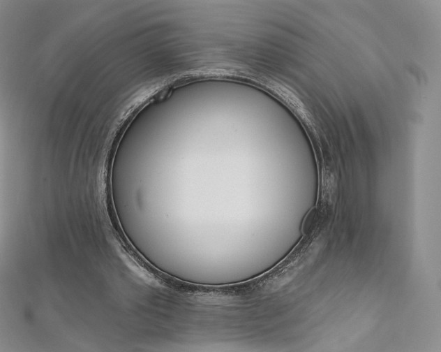 X0000112760389200909031552