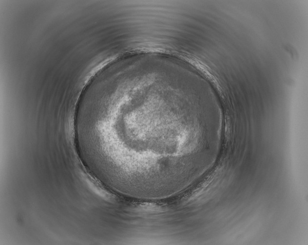 X0000112760390200909031552