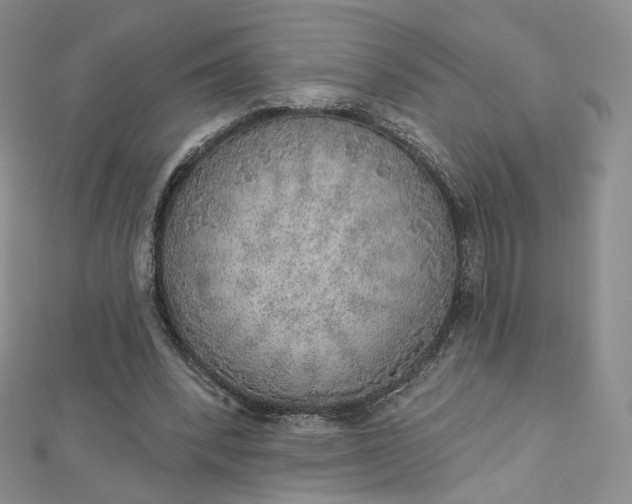 X0000112760392200909031552