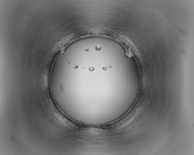X0000112760393200909031552