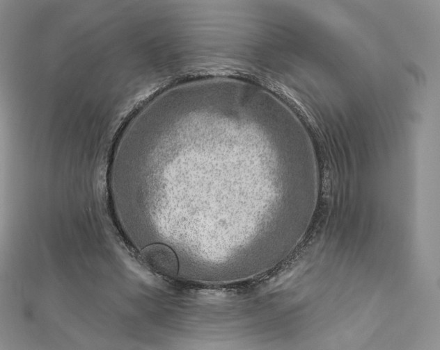 X0000112760394200909031552