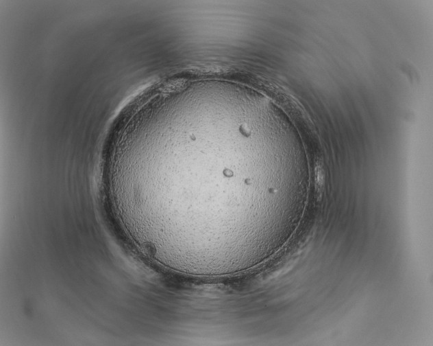 X0000112760396200909031552