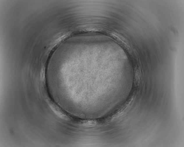 X0000112760398200909031552