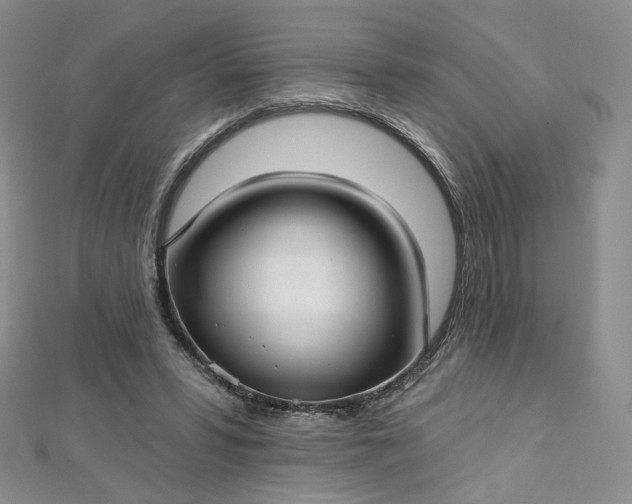 X0000112760399200909031552