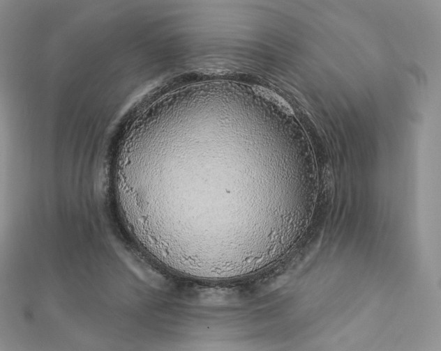 X0000112760400200909031551