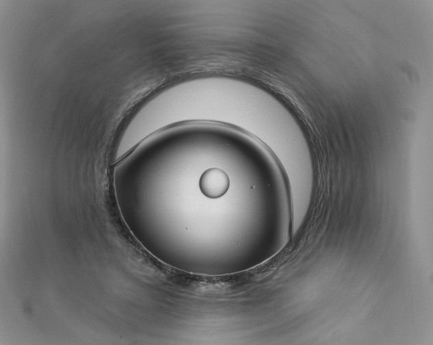 X0000112760403200909031551