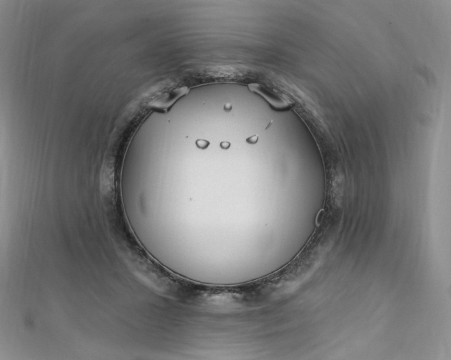 X0000112760407200909031551