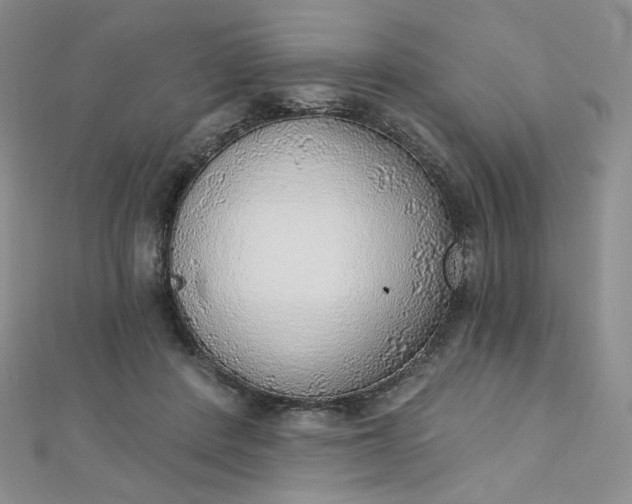 X0000112760408200909031551