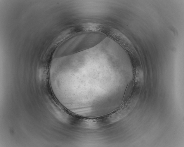 X0000112760409200909031551