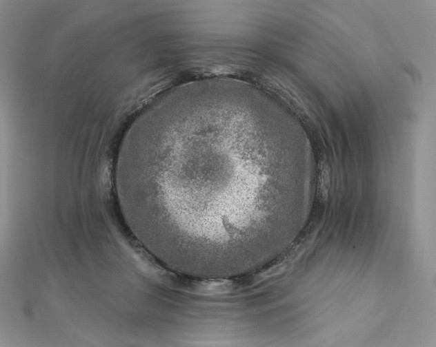 X0000112760410200909031551