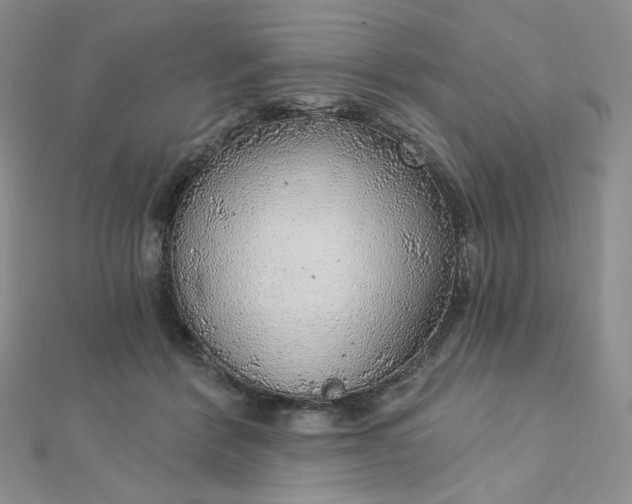 X0000112760412200909031551