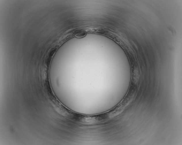 X0000112760413200909031551