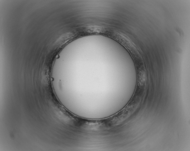 X0000112760414200909031551