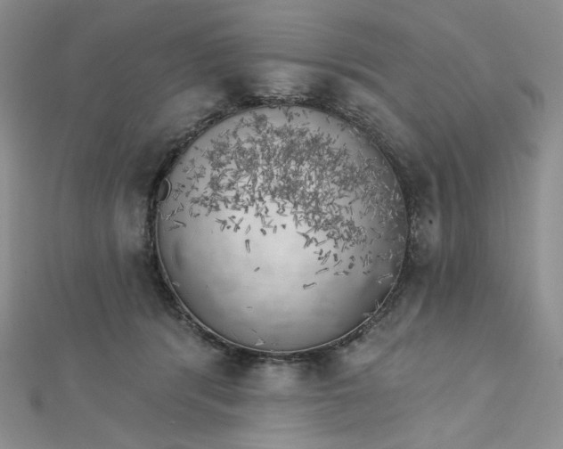 X0000112760416200909031551