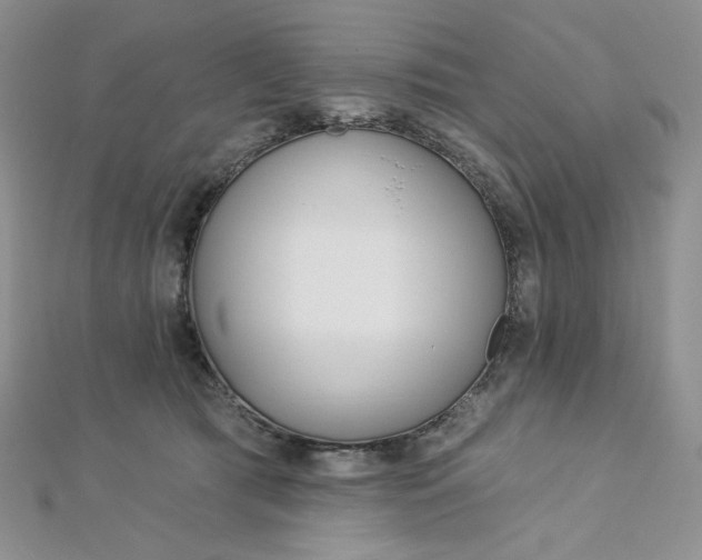 X0000112760417200909031551