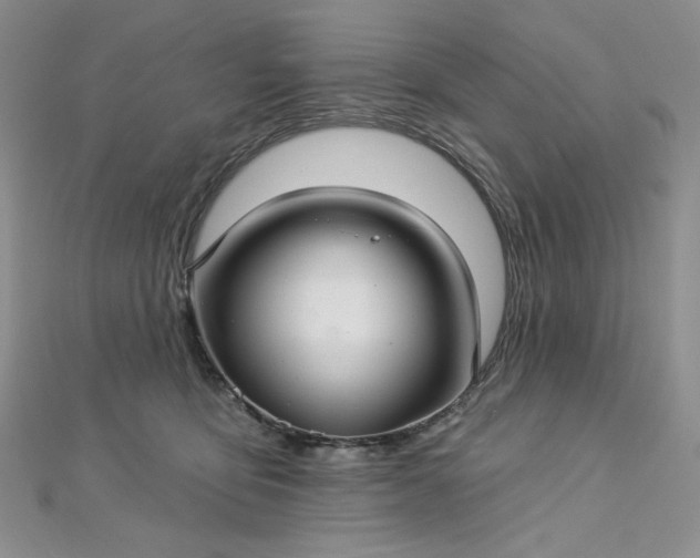 X0000112760419200909031551
