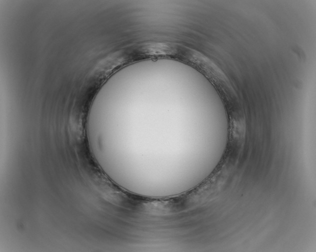 X0000112760422200909031551