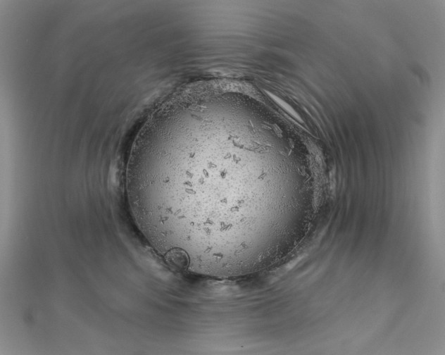 X0000112760424200909031551