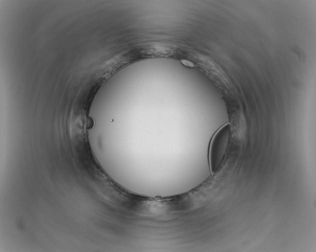 X0000112760425200909031551