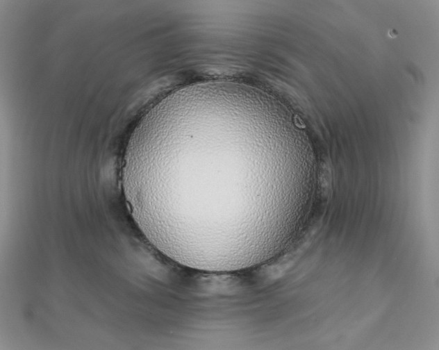 X0000112760428200909031551