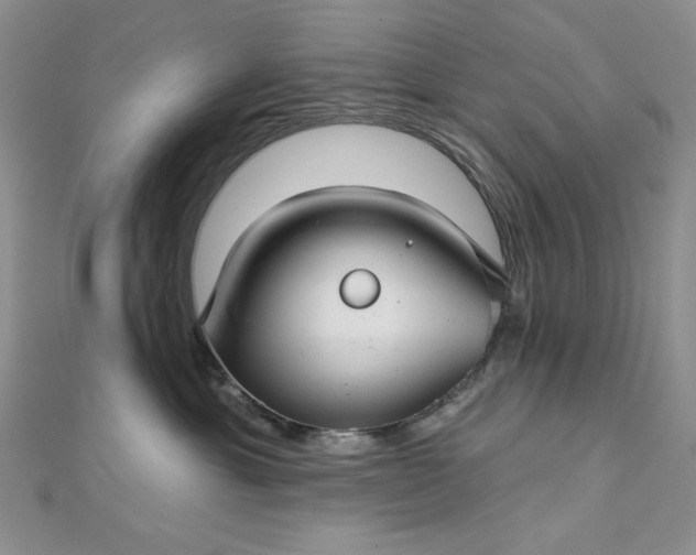 X0000112760429200909031551