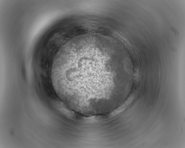 X0000112760430200909031551