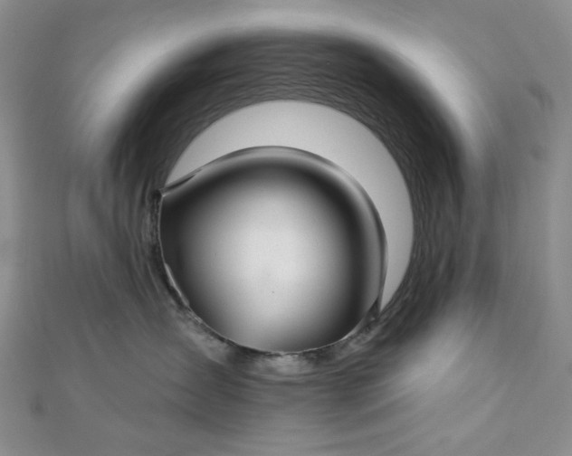 X0000112760431200909031551