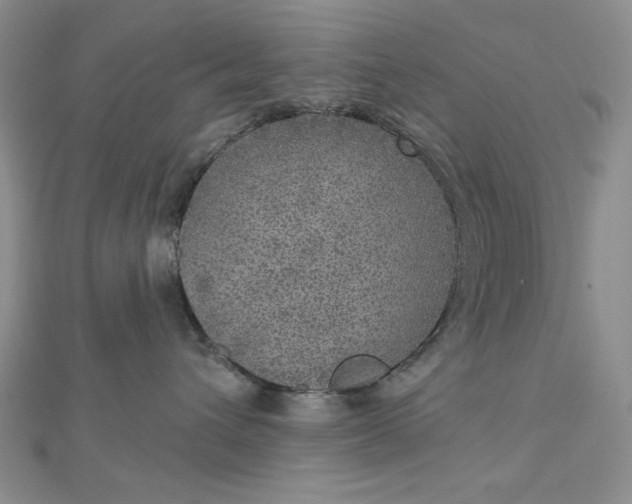 X0000112760432200909031551