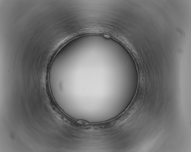 X0000112760434200909031550