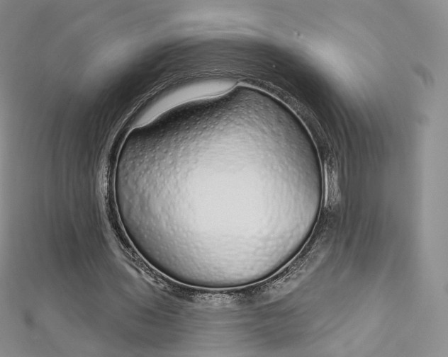 X0000112760435200909031550