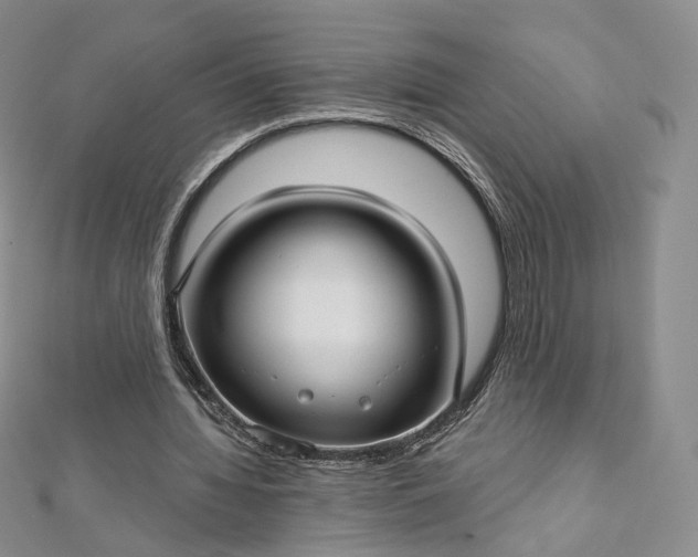 X0000112760436200909031551