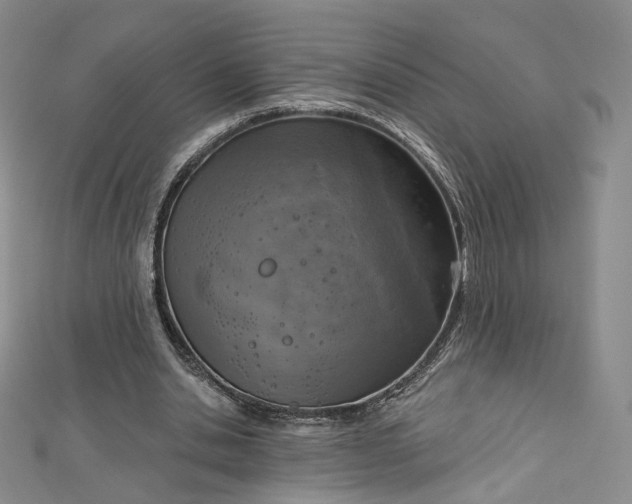 X0000112760438200909031551