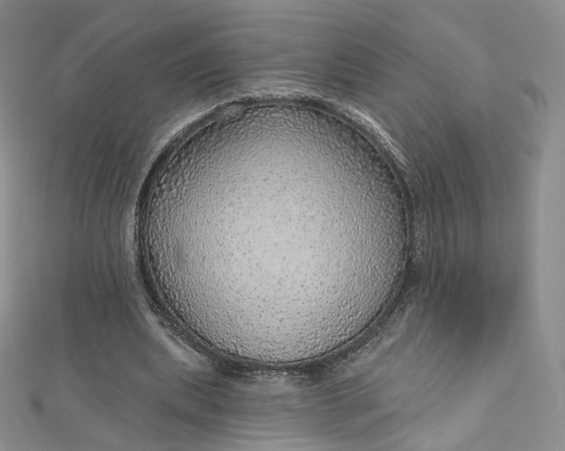 X0000112760439200909031551