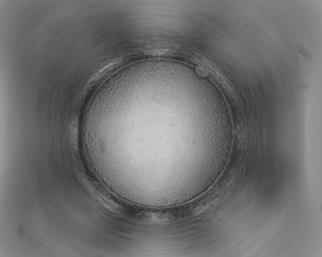 X0000112760442200909031551