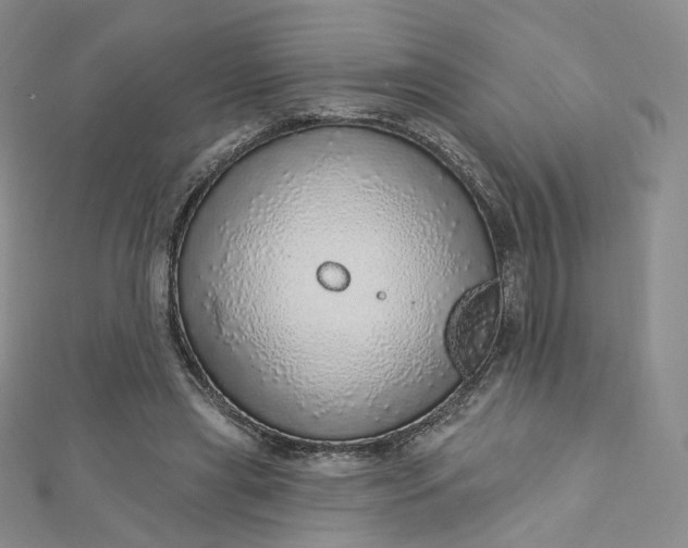 X0000112760445200909031551