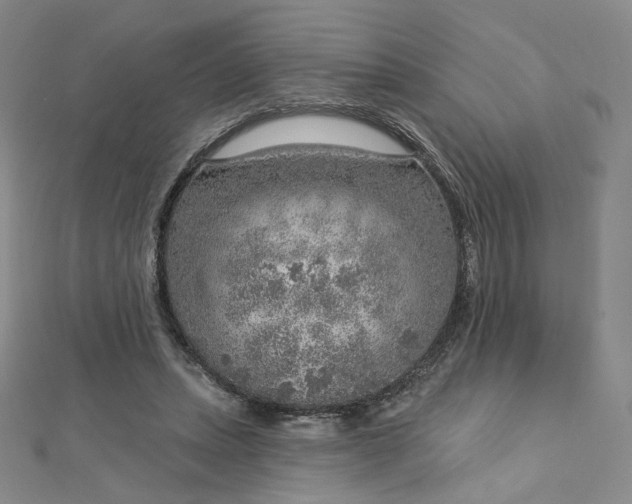 X0000112760447200909031551
