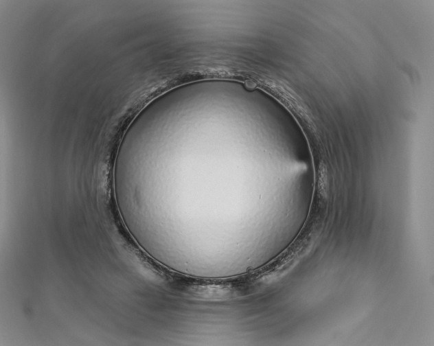 X0000112760449200909031551