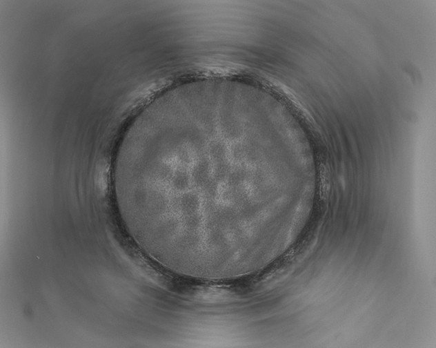 X0000112760451200909031551