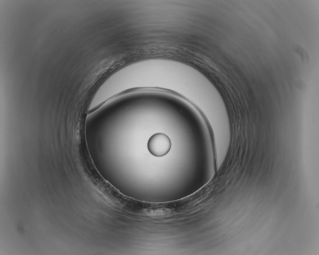 X0000112760452200909031551