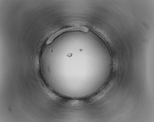 X0000112760453200909031551