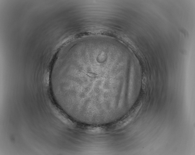 X0000112760454200909031551