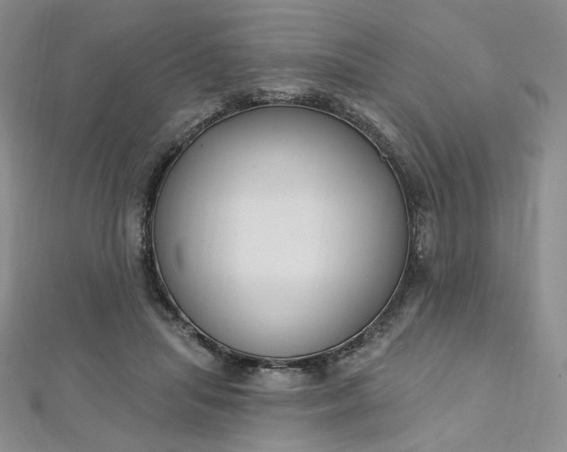 X0000112760455200909031551
