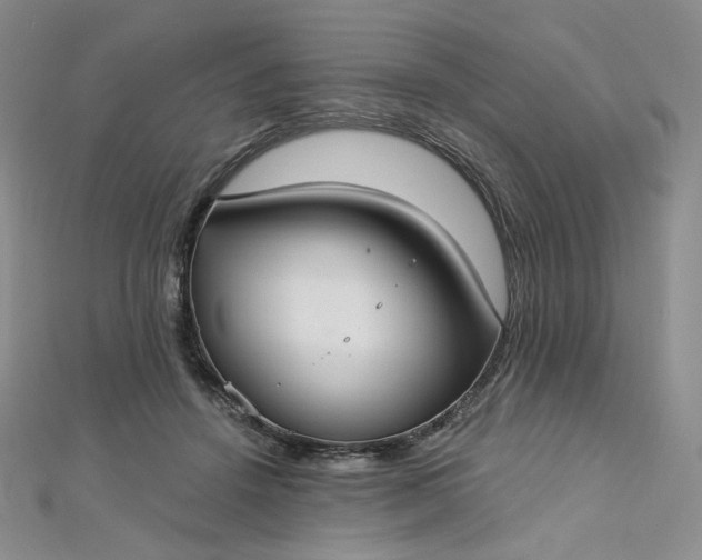 X0000112760456200909031551