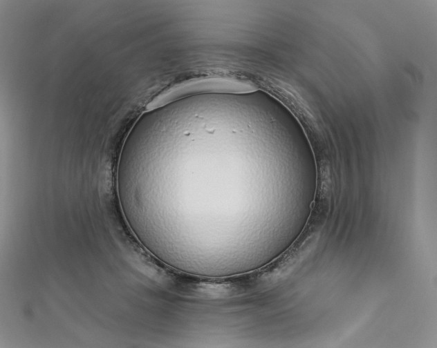X0000112760457200909031551